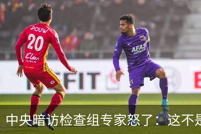 中央暗访检查组专家怒了:这不是开玩笑吗?